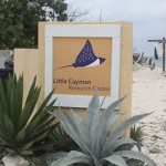US scientists land in Little Cayman