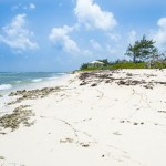 Dart buys Barefoot Beach property
