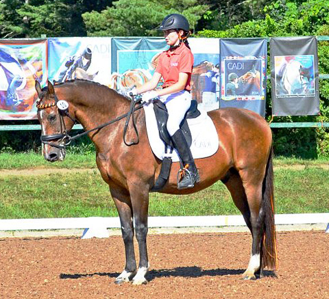 Jenna Boucher on Jurist.