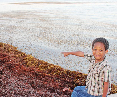 Huge mats of seaweed washing up on some of Cayman’s beaches and floating near shore are presenting challenges for beachgoers, boaters and fishermen.   