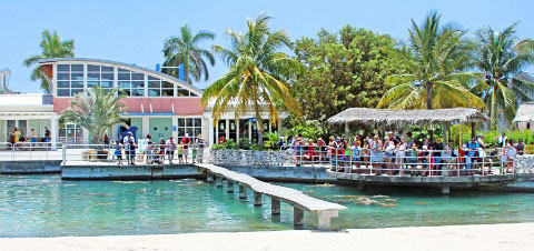 The Cayman Turtle Farm is one of the separately operating government-owned companies for which property valuations have not been done recently, according to auditors. - PHOTO: JEWEL LEVY