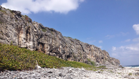 Brac-Bluff