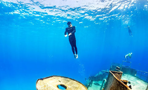 Mark Rowe, diving without the long fins favored by free divers, makes his way toward the surface.