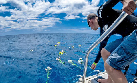 Free diver Jan Feik places a flower on the water
