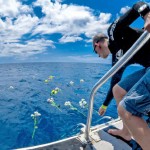 Free divers honor missing champion