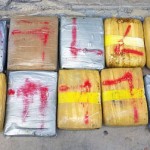 77 pounds of ganja found at 12 Mile Bank