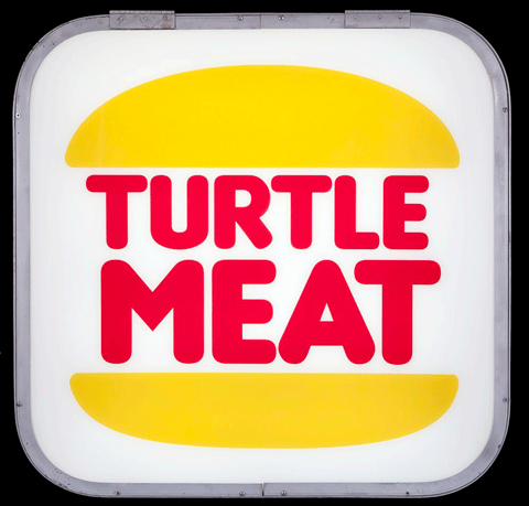 Turtle-Meat-a