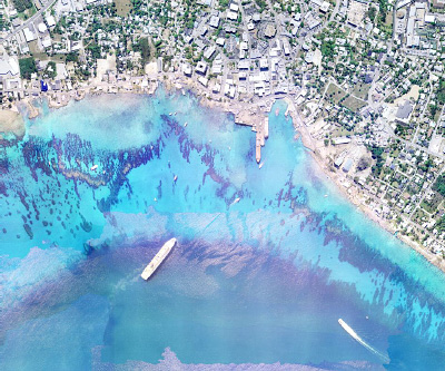 Coral relocation possible, consultant says