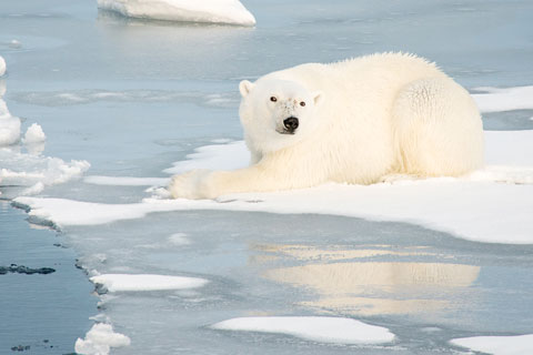 On thin ice