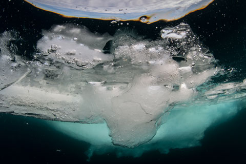 year ice