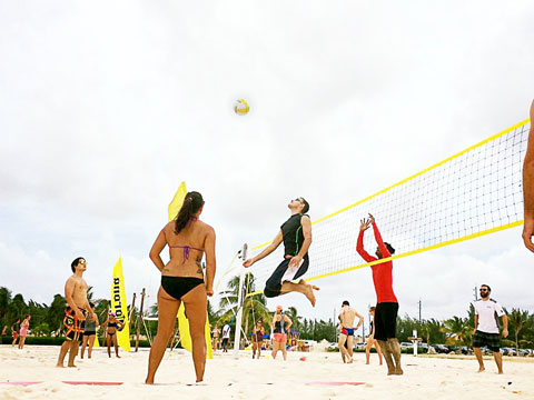 beach volleyball 539924254285691_n