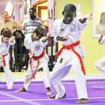 Purple Dragon gets new sponsor