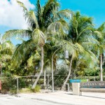 Camana Bay underpass work to start in October