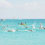 Dive in to sea swim on Saturday