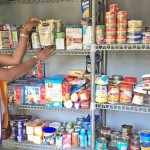 Lions help fill food pantry