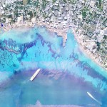 Coral relocation possible, consultant says