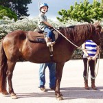 Riding school donates horse to therapeutic program