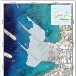 Coral relocation impact questioned