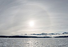 Cayman photographer charts Arctic change