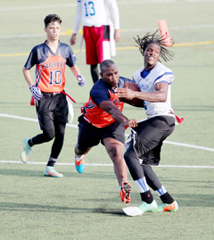 image_686786.jpg
