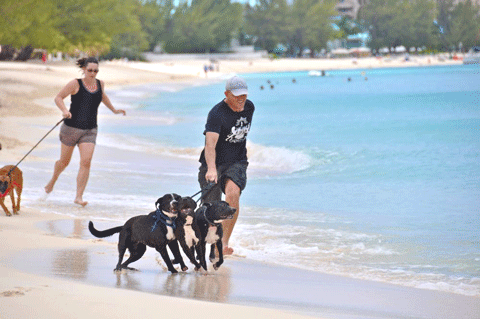 World-Animal-Day-2015