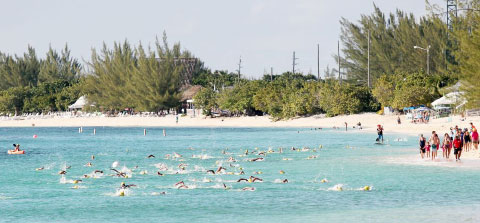 The CUC sea swim