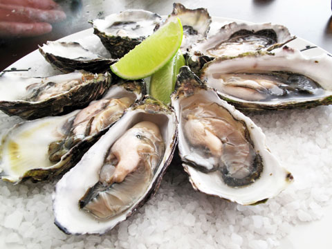 Oysters-sm.jpg