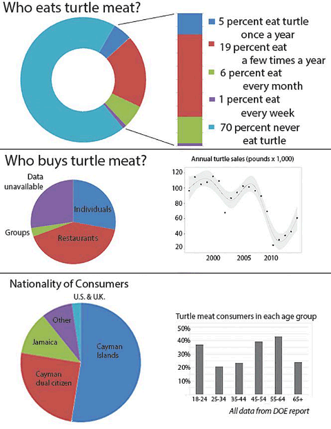Demand for turtle meat constant since 1990s