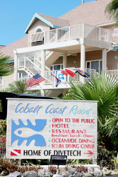 Cobalt Coast
