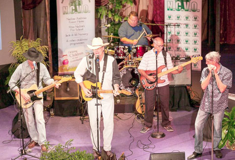 ncvo-telethon-band.jpg