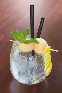 Cayman-Cocktails-tonic.jpg