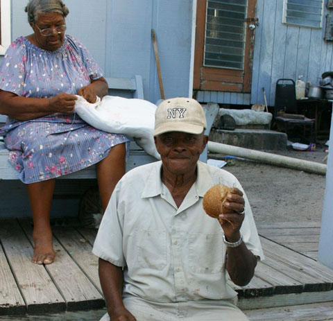growing-coconuts.jpg