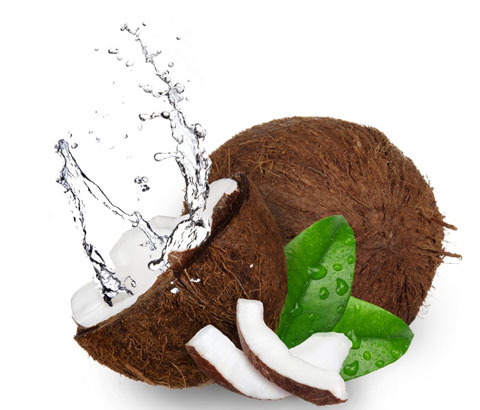 cay-cocoss.jpg