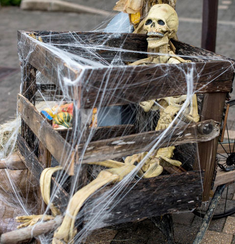 cayman-skeleton.jpg