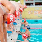 Stingrays flipping twice in fast and furious races