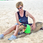 Doggy Beach Day promises to be a romp