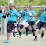 Panthers crowned new flag kings
