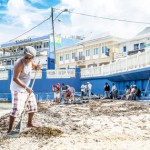 Taxi and bus drivers team up to clean up