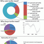 Demand for turtle meat constant since 1990s