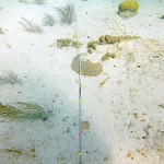 Deep-water solution to port problem considered