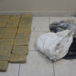 Police destroy drugs found in Prospect