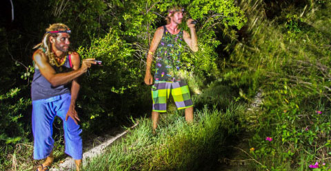 Mike Vallee, left, and Ed Houlcroft capture green iguanas at night. - PHOTO: Green Iguana B