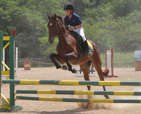 Basil Humphries jumped superbly.