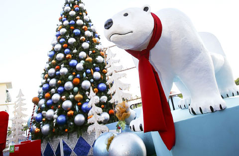 The Christmas decorations at Camana Bay include a scarf-wearing polar bear. – Photo: Stephen Clarke