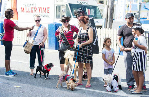 A ‘pooch parade’ showcases the best in puppy-pirate chic. Money raised went to the Cayman Islands Humane Society.