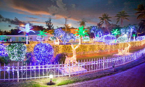 Drive slowly down South Church Street, one of the popular areas for Christmas lights.