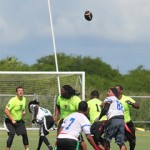 Stubblefield dictates Predators