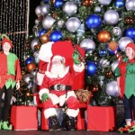Tree lightings kick off holidays