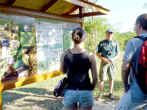 Ovenbirds are among Cayman