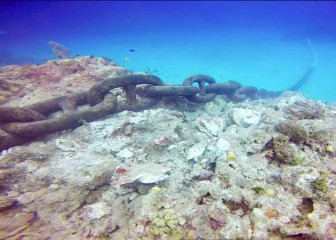 An image captured from video shot by divers in George Town harbor shows a cruise ship anchor chain on an area of coral reef.